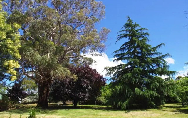 The River House Launceston Tamar Valley