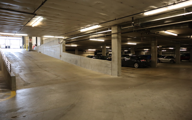 Great spacious Apartment - Downtown Location