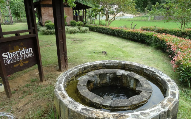 Sheridan Organic Farm and Eco Village