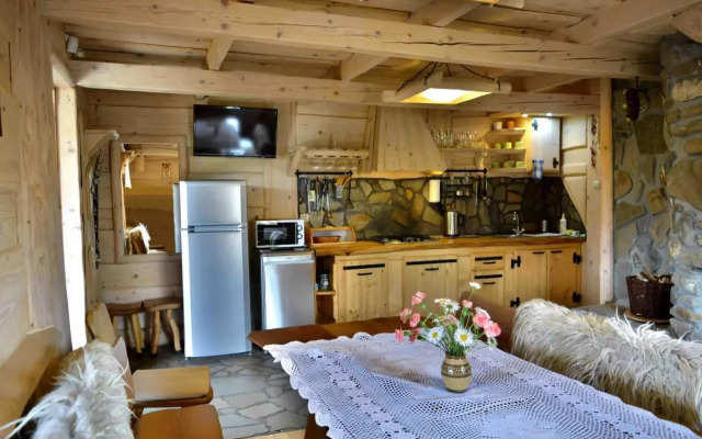 Alpejskie Domy Ski House