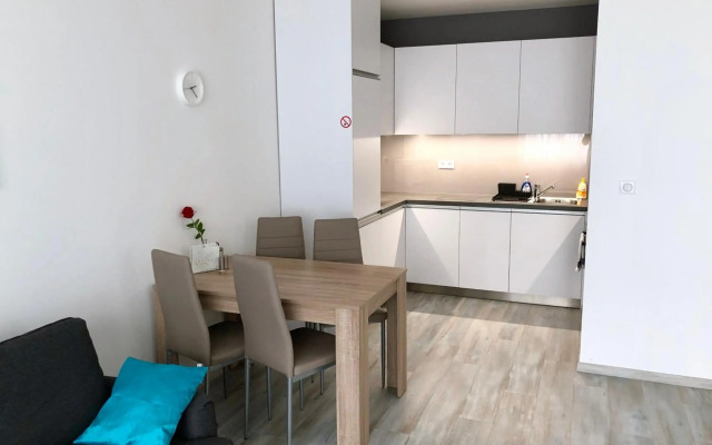 House of Beer - Stein