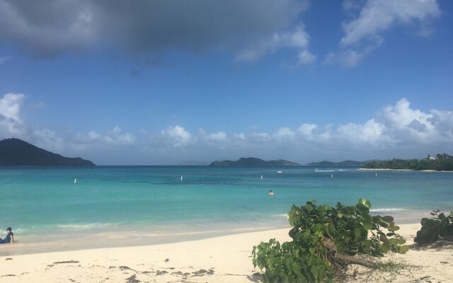 At Home in the Tropics