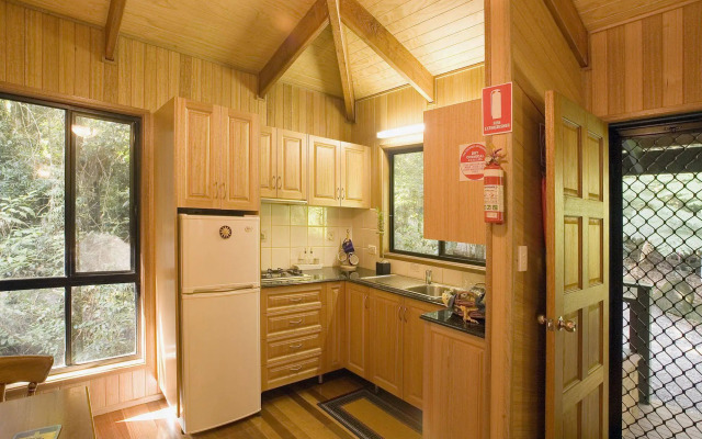 Springbrook Lyrebird Retreat