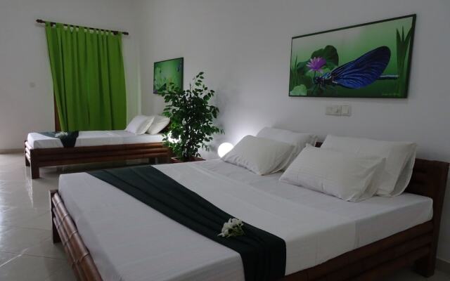 Moragalla Beach Home Guesthouse (Newly opened hotel)