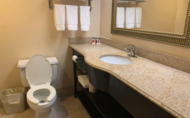 Holiday Inn Gainesville-Lanier Centre