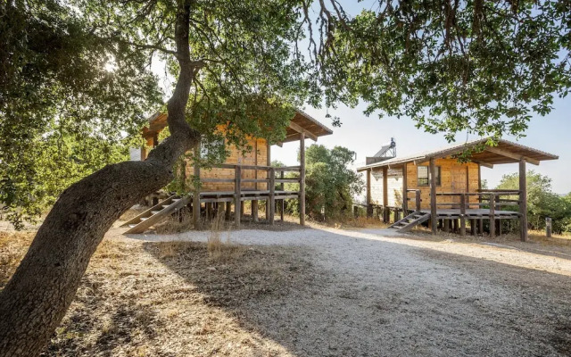 Ajloun cabins