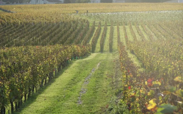 La Villa du Château Belloy