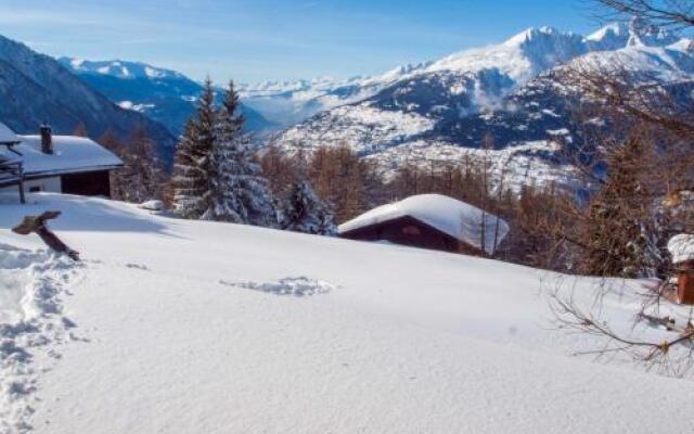 Chalet Panorama