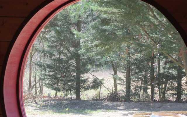 Chambre d'Hôtes Neptune Wood