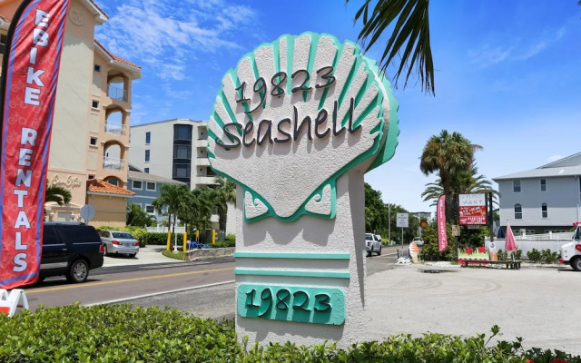Sea Shell 28