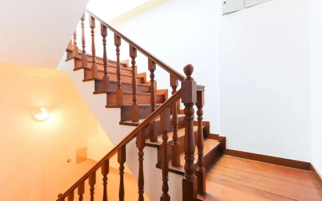 Rato Elegant By Homing