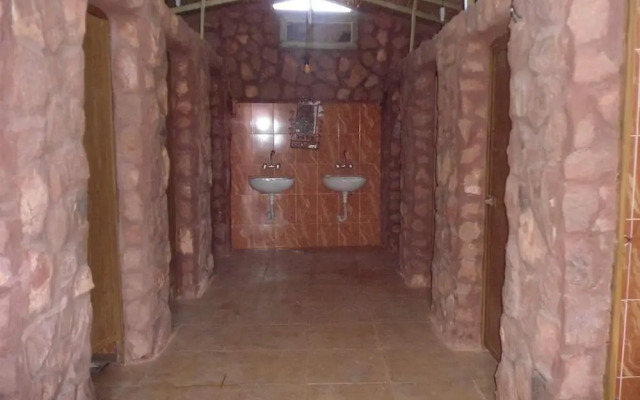 Bedouin habits tours camp