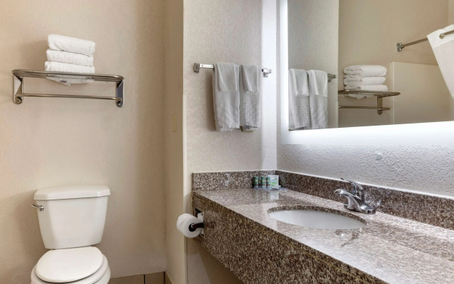 Best Western Palo Duro Canyon Inn & Suites