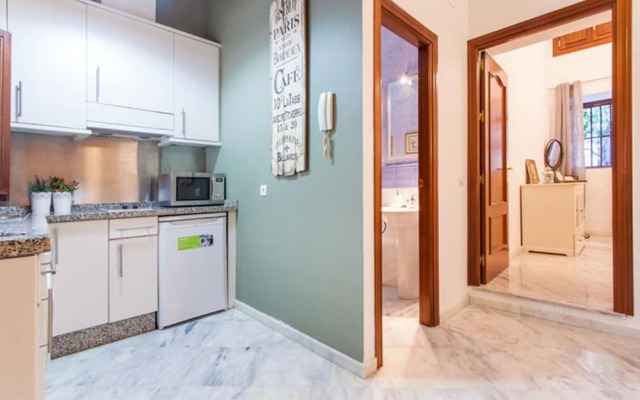 Deluxe apartment Galindo