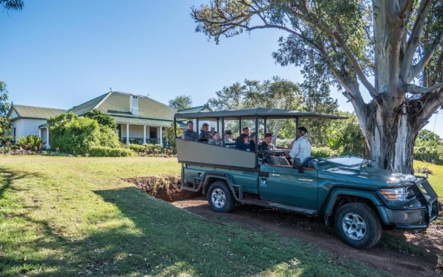 Leeuwenbosch Country House - Amakhala Game Reserve