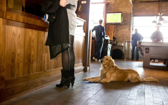 The Iron Horse Hotel