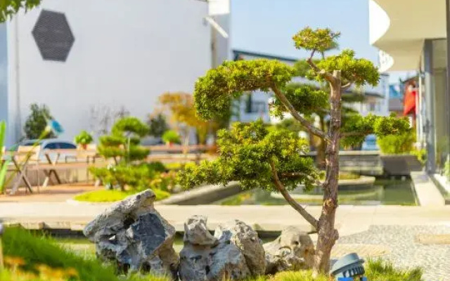 Jiuhua Mountain Guanshanyu Homestay