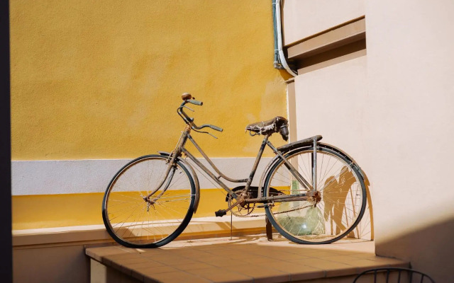 Can Blau Homes