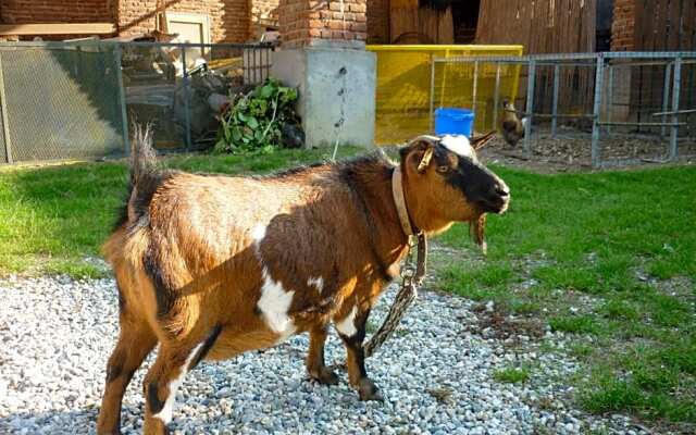 LAdele Bed & Breakfast