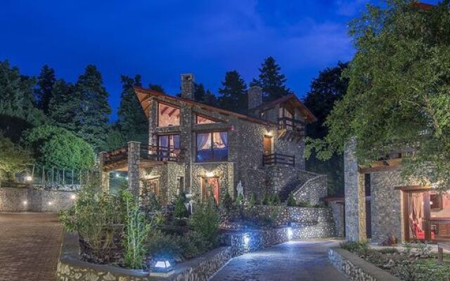 ViP Chalet 4 Seasons