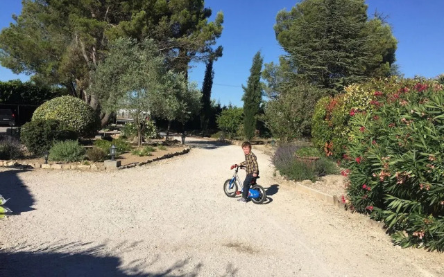 Zocalo Ranch