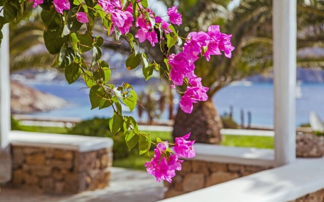 Sea View Residence