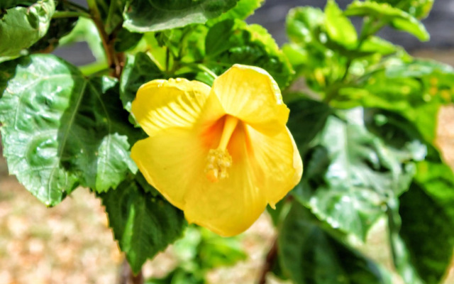 San Marcos 124 Gran Pacifica Resort