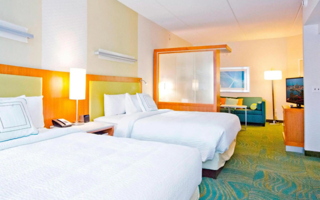 Springhill Suites by Marriott Pittsburgh Mt. Lebanon