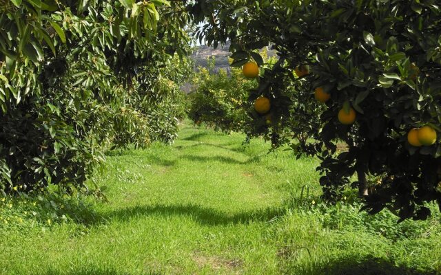 Fenareti Village House