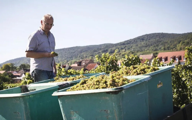 Weingut & Landhotel Lucashof