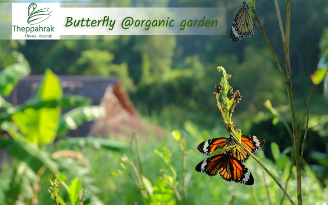 Theppahrak Home Khaolak