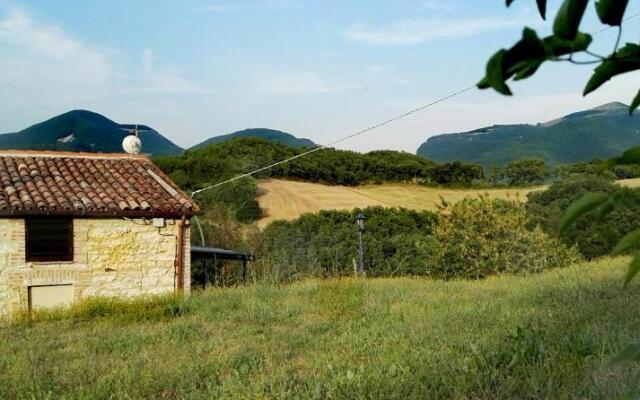 Oasi delle Gazze
