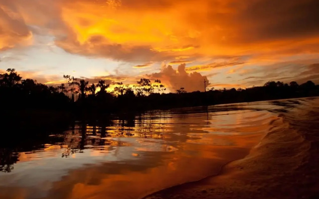 Friends of The Amazon Jungle Lodge