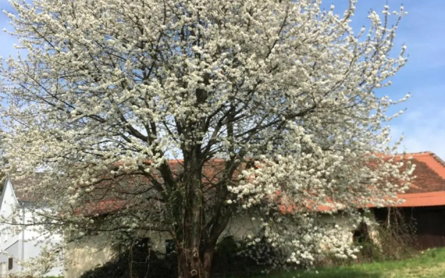 Landhaus GRETE