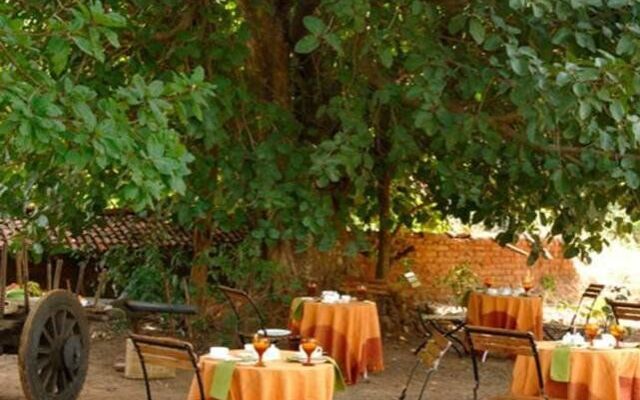 Mahua Kothi, A Taj Safari - Bandhavgarh National Park