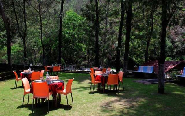 ADB Rooms Falcon Crest