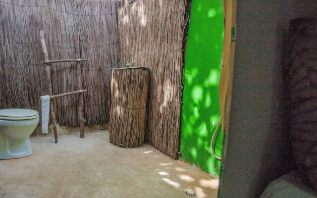 Bonobo Lodge