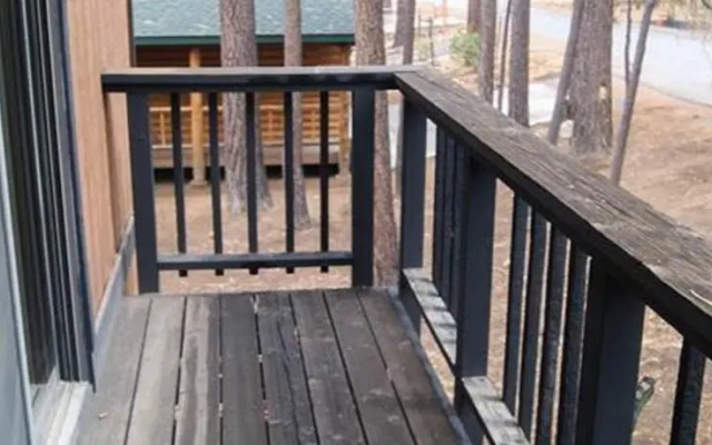 RedAwning Its About Bears #544