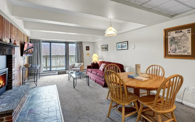 Mt Green 2-f04 in Killington