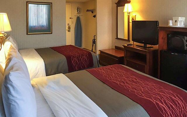 Comfort Inn - Springfield