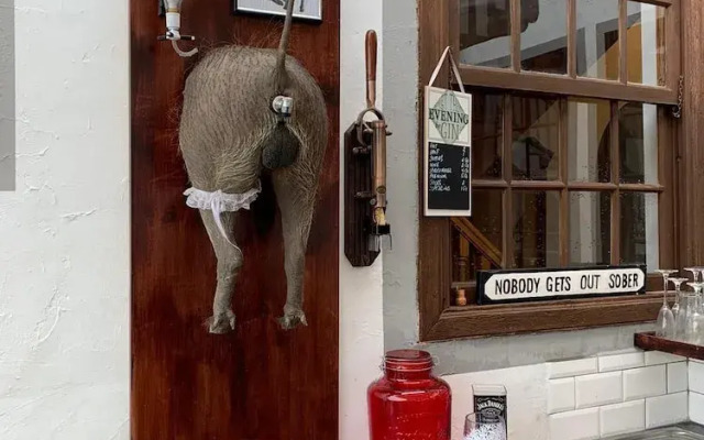 Ziggy's Mountain Retreat