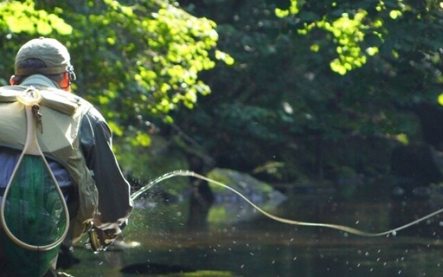 Gite & chambre Douar Bouillon