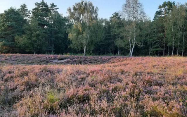 Ferienwohnung Zinne-Wigger