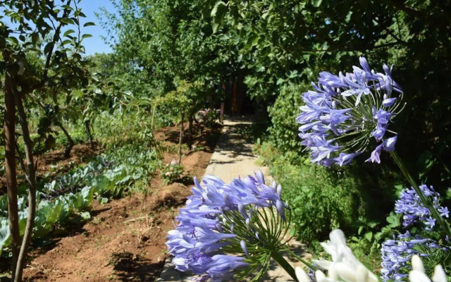 Quinta da Boa Ventura