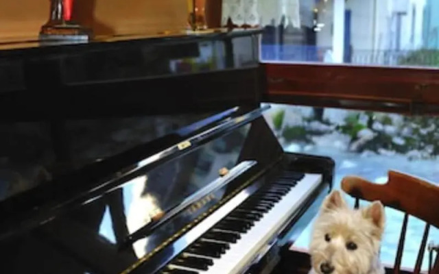 Hôtel La Vallée Blanche