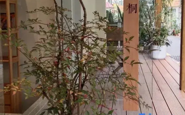 Chuang Wutong Homestay Phase 3