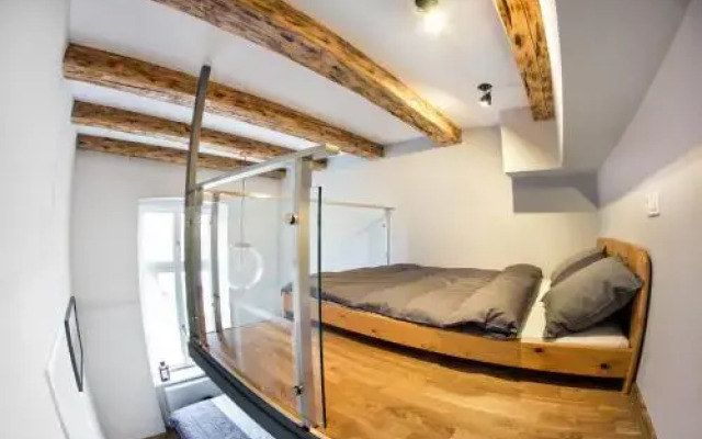 Luxurious Apartments Gertrudy