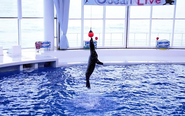 Tabist S.hyde Park Koga Station