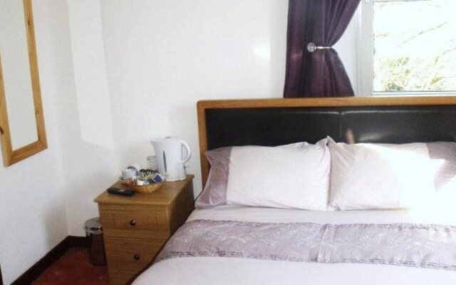 Brown Trout Hotel