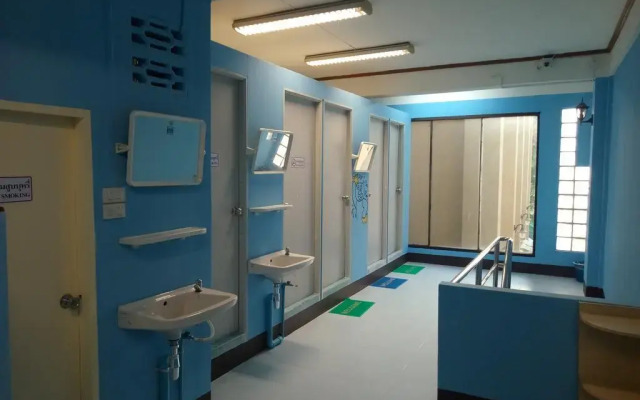 Chiangmai Panda Hostel 2